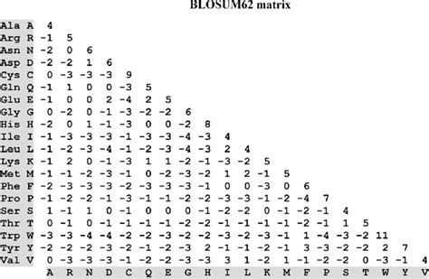 10 BLOSUM62 substitution matrix | Download Scientific Diagram