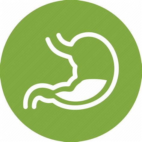 Digestion, gastroenterology, stomach icon - Download on Iconfinder