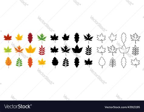 Autumn leaf set of leaves yellow orange Royalty Free Vector