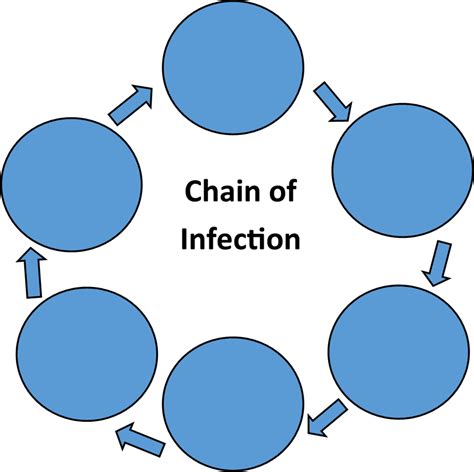 Chain of Infection Diagram | Quizlet