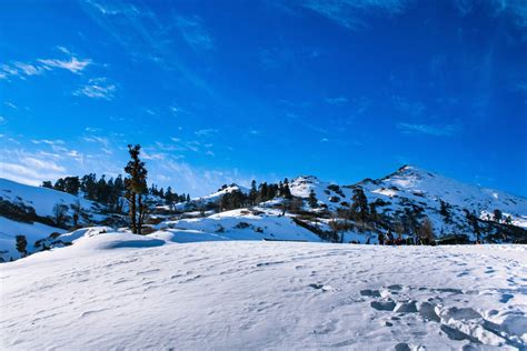 Chopta-Tungnath-Chandrashila Trek: Best Adventure Awaits - Trekking Blogs