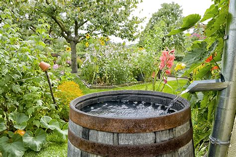 Take Advantage of the Rain! How to Use Your Gutters for Rainwater Collection