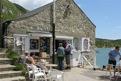 Lulworth Cove Visitor Guide - The best things to see and do | Dorset Guide