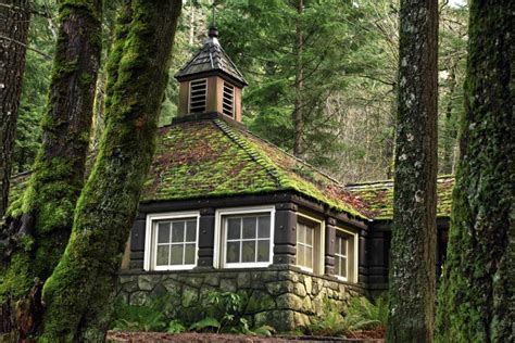 Mossy Country Stone Cottage In The Woods Stock Image - Image of cottage ...