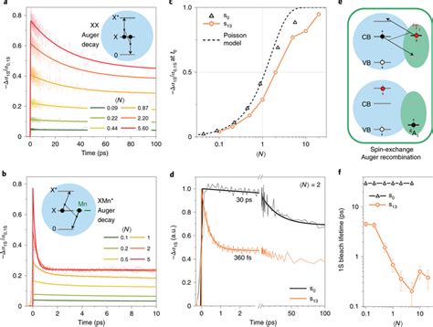 Auger recombination in Mn-doped and undoped CdSe/CdS CQDs a ...