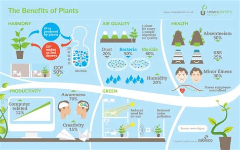 The Benefits of Plants [INFOGRAPHIC] | Benefits of indoor plants ...