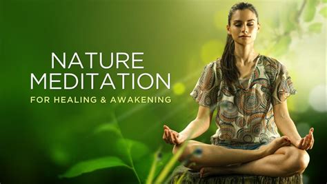 Online Course - Nature Meditation for Healing & Awakening