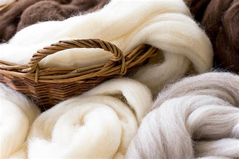 Wool Pictures, Images and Stock Photos - iStock