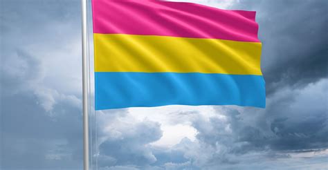 The History of the Pansexual Pride Flag - INTO