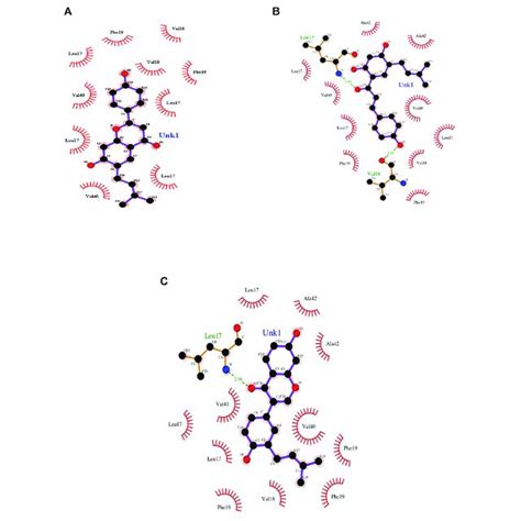 | 3D structure of amyloid-beta 42 fibrils. | Download Scientific Diagram