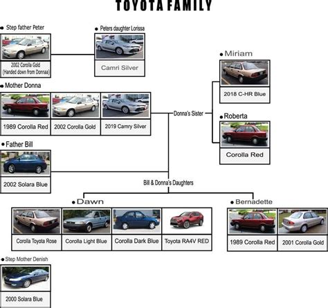 Entry #3 by marufasad for graphic layout for Toyota family tree | Freelancer