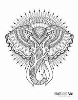 Tribal Print Elephant Coloring Pages sketch template
