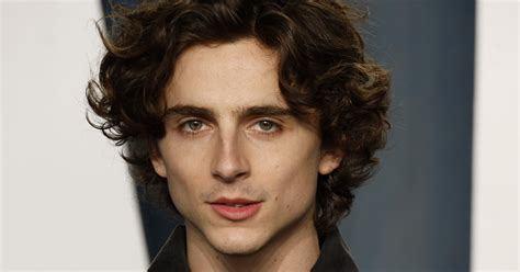 Does Timothée Chalamet Have Tattoos? | POPSUGAR Beauty