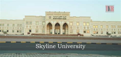 Skyline University: The Platform fro Conclusive Professional Education