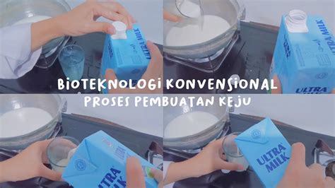 bioteknologi konvensional | proses pembuatan keju *。 - YouTube