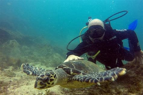 Scuba Diving Tour in Arraial do Cabo 2024 - Rio de Janeiro