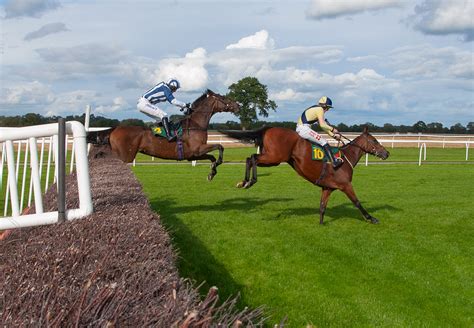 Horses Jumping Fence - Sunny Day - Horse Racing Photos