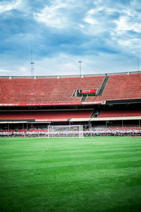 Green Grass in the Football Stadium · Free Stock Photo