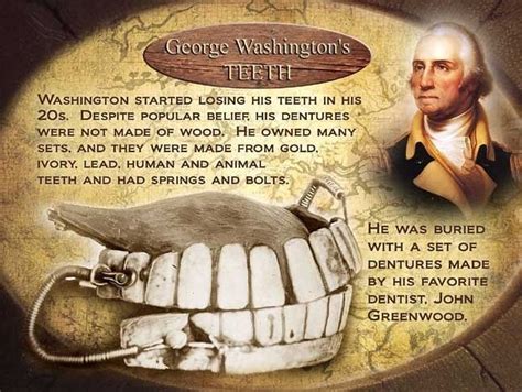 Did You Know That George Washington Did Not Have Wooden Teeth? Read ...