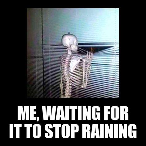 35 Funny Rain Memes To Shower You With Chuckles | Funny rain quotes, Funny weather, Rain meme