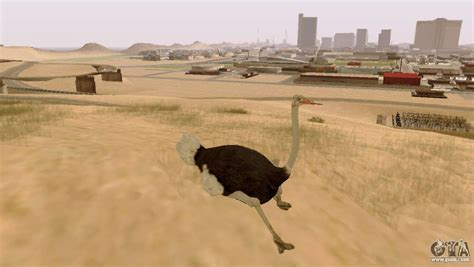 The possibility of GTA V to play for animals for GTA San Andreas