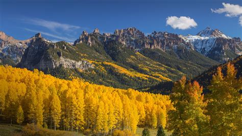 Colorado Fall Colors 2024 Free Download - Heda Pearle