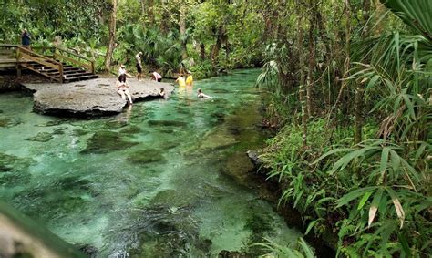 Rock Springs Kelly Park - Go Wandering