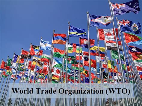 World Trade Organization (WTO): What is it and how does it work?