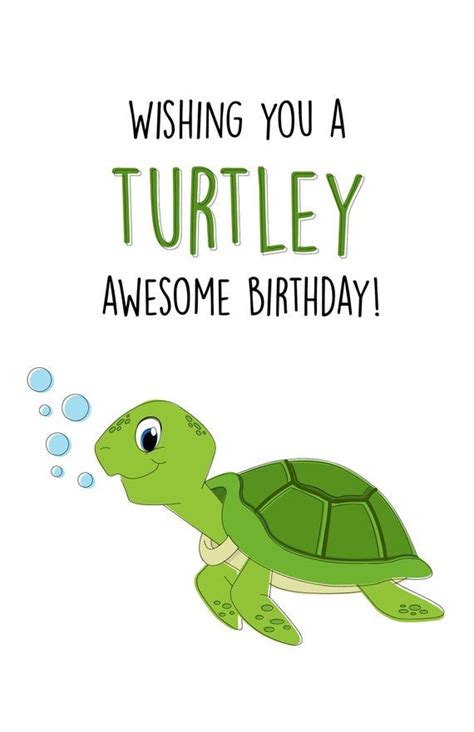 Funny Birthday Card, Happy Birthday Card, Cute Birthday Card, Turtle ...