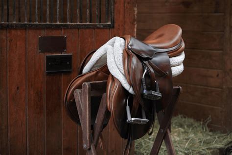 5 Best English Saddle Brands on the Market - Horse Rookie