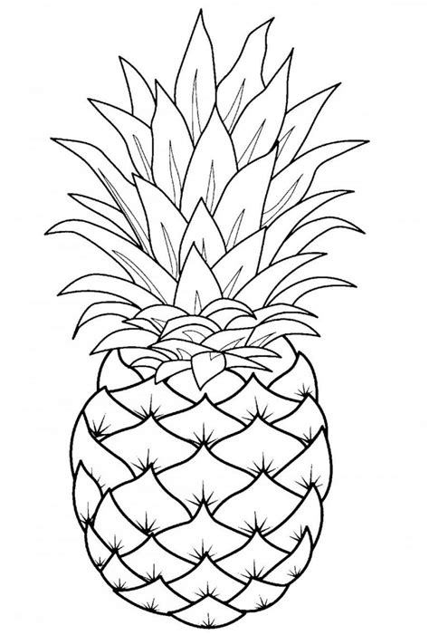 Pineapple Template | Line Art Drawings, Fruit Coloring Pages ...