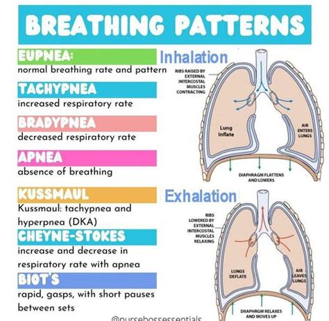 Respiratory Breathing Patterns