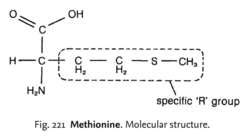 Methionine | definition of methionine by Medical dictionary