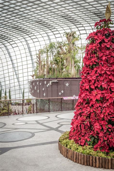 Flower Dome Gardens by the Bay Editorial Stock Photo - Image of flora, tourist: 36675088