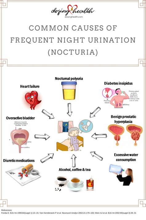 [Infographic] Common Causes of Frequent Night Urination (Nocturia) - Dosing Health in 2020 ...