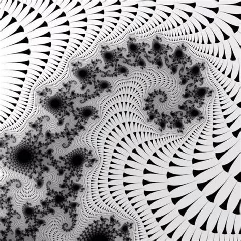 It's a Colorful Life ~, Fractal At ~ Black and White | Fractals ...