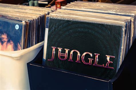 Jungle Band Vinyl Cover Art and Poster Style :: Behance