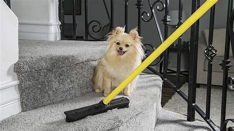 Why You'll Want To Use A Squeegee To Clean Your Carpet