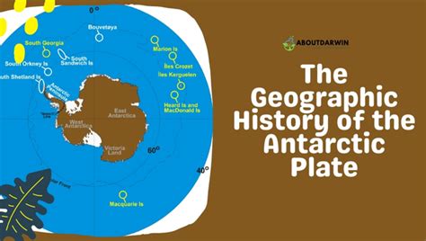 Antarctic Plate Formation and Facts [All You Need To Know]