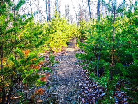 Great Backpacking Routes at South Mountains State Park, NC