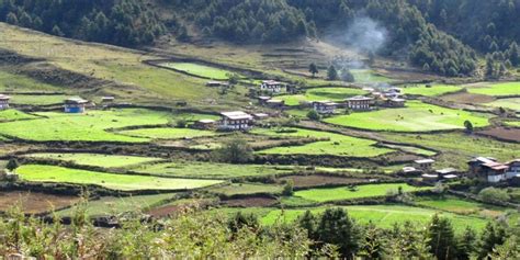 Bhutan Gangtey valley trekking,Bhutan Gangtey valley trek:Himalaya ...