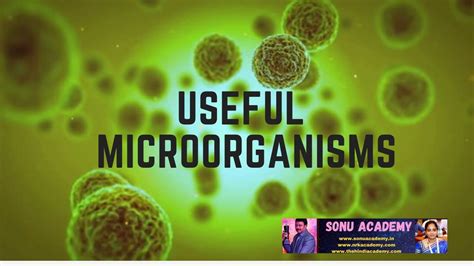 Useful Microorganisms