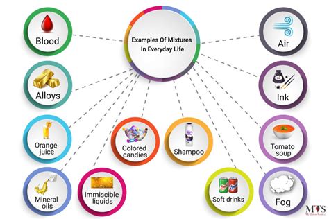 Top 13 Examples of Mixtures Around Us