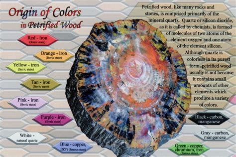 Origin of Colors in Petrified Wood, Petrified Forest National Park, AZ | Petrified wood meaning ...