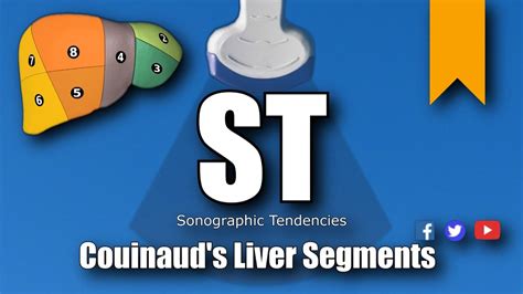 Ultrasound Couinaud's Liver Segments - YouTube