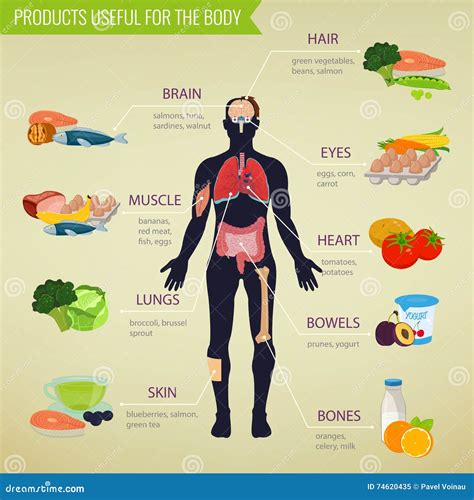 Healthy Food for Human Body. Healthy Eating Infographic. Food and Drink ...