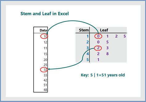 Stem and Leaf Plot in Excel and STATA (6 Practical Examples) - wikitekkee