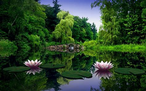 Pond Wallpapers - Top Free Pond Backgrounds - WallpaperAccess