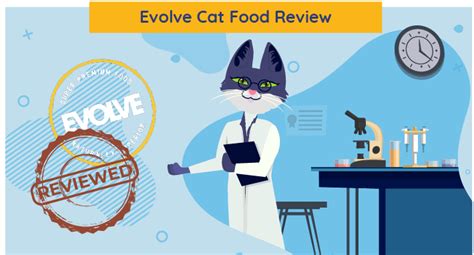 Unbiased Evolve Cat Food Review In 2022 - All About Cats