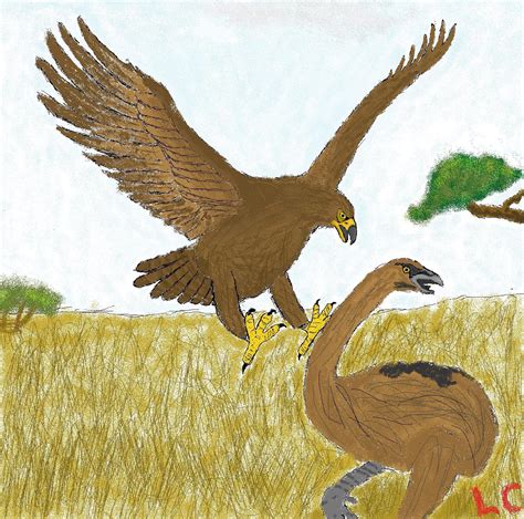 MS Paint: Haast Eagle attacks Moa by ZEECAPTEIN on DeviantArt